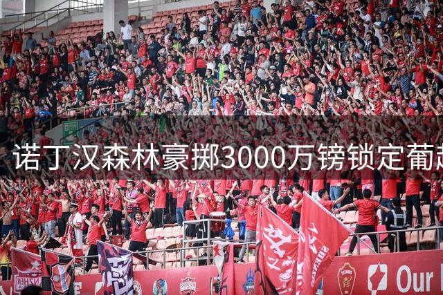 诺丁汉森林豪掷3000万镑锁定葡超铁闸 新帅亲自游说迪奥曼德加盟